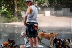 «Тепловий купол» приніс в Україну спеку до +38°C та відключення світла