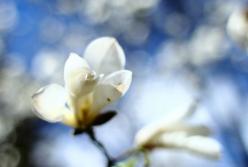 В Киеве на выходных установлены два температурных рекорда