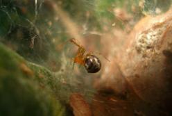 Потепление повергнет Землю в фильм ужасов: ученые сделали пугающее открытие