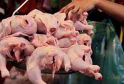 Госпродпотребслужба обнаружила сальмонеллу в импортной курятине