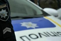 Под Киевом полицейские сбили ребенка на пешеходном переходе (видео)