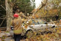 На Стамбул обрушился мощный ураган (видео)