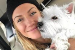 Александр Педан хотел украсть собачку Леси Никитюк (видео)