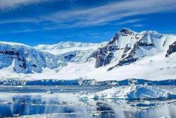 В Антарктиде обнаружили удивительную находку