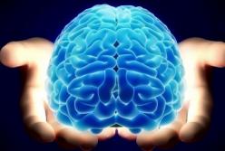 Названы доступные суперпродукты, которые обеспечивают здоровье мозга 