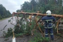 В Украине обесточены 112 сел из-за непогоды