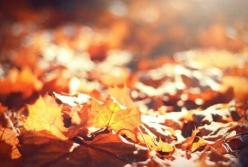 Прогноз погоды на 27 октября: ночи еще с минусом, а днем до +13