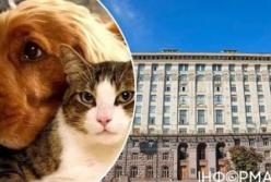 Видихаємо, хвостики! Дивні заборони для домашніх улюбленців у Києві поки не діятимуть