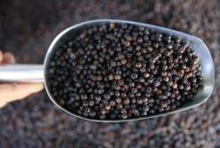 Черный перец поможет похудеть – ученые