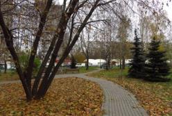 ​До свидания, осень: прогноз погоды на выходные 27–28 ноября