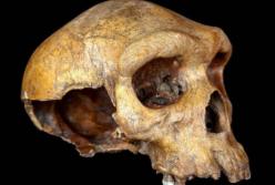 Ученые обнаружили новый вид древних людей