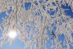 Синоптик дал жуткий прогноз погоды на зиму 2020 