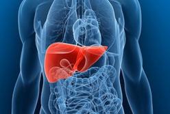 Медики назвали симптомы, которые помогут вовремя распознать болезни печени