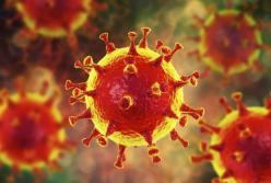 Ученые назвали два условия прекращения пандемии COVID-19