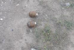 В Одесской области от взрыва гранаты пострадали пять человек