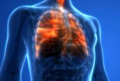 Названы домашние способы «прочистить» легкие