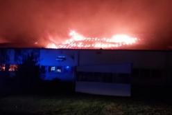 В Мукачево произошел крупный пожар на лыжной фабрике (фото)