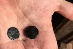 В Балтийском море нашли затонувшие артефакты времен Колумба