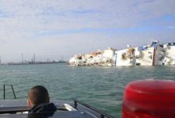 У берегов Румынии перевернулось судно с 14 тыс. овец