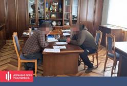 ДБР запобігло незаконній вирубці 199 сосен на Житомирщині, збитки оцінено у 2,7 млн грн