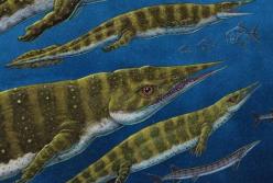 Обнаружены неизвестные ранее древние рептилии (фото)