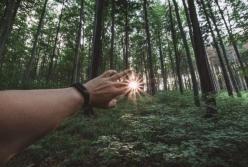 Прогноз погоды на 4 июня: в Украину придет потепление