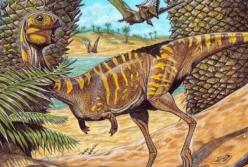 В Бразилии нашли останки нового вида крошечного динозавра