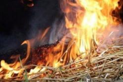 На Одесщине 5-летний ребенок заживо сгорел в стоге сена