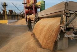 Украина заработала на экспорте зерновых $12,3 млрд