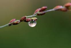 Температура в Киеве побила уже семь рекордов