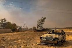 11 погибших, 17 пострадавших: в Луганской области продолжает бушевать пожар 