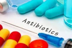 Медики назвали запрещенные после приема антибиотиков продукты