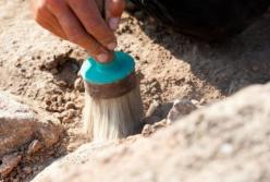 Останки свыше 60 убитых нашли под Львовом