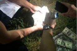 В Кривом Роге на взятке задержали сотрудника полиции из Днепра (фото)