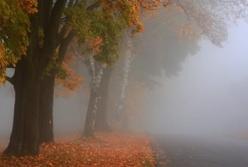 Прогноз погоды на 24 октября: тепло, но сильные туманы (карта)