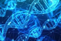 Ученые впервые расшифровали ДНК живших в Африке древних людей