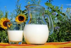 Диетолог объяснила, кому нельзя пить молоко