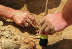 Археологи обнаружили вино, которому 3 тысячи лет