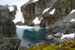 В Антарктиде зафиксировали рекорд тепла