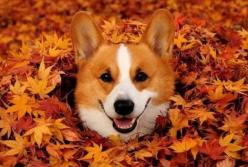 Прогноз погоды на 30 октября: по-осеннему тепло и солнечно