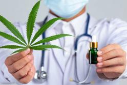 До України вперше офіційно завезуть канабіс