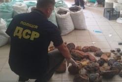 На Ровенщине изъяли уникальный янтарь на $1,2 млн (фото)