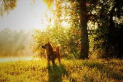 Прогноз погоды на 25 октября: будет тепло и сухо (карта)