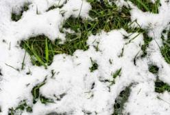 В Украине могут полностью исчезнуть зимы: названы сроки