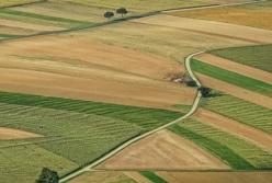 У Зеленского заговорили о снятии моратория на продажу земли