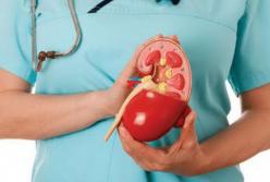 Медики назвали первые признаки появления камней в почках