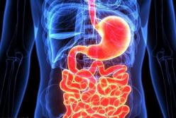 Медики назвали продукты для улучшения работы кишечника