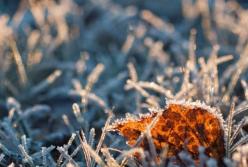 В Украину вторгнется арктический воздух: в каких областях ударят заморозки