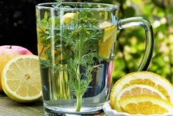 Медики назвали лучшие напитки на голодный желудок 