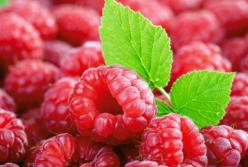 Диетологи назвали идеальную ягоду для похудения